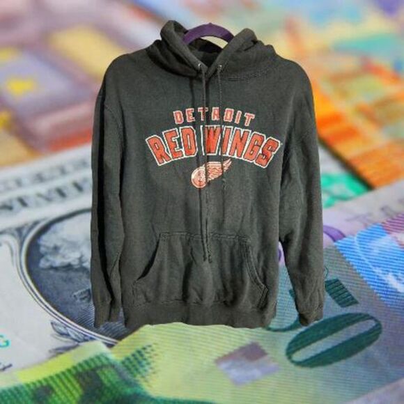 NHL Detroit Red Wings Hoodie Gray Size M (G42) - Picture 1 of 4